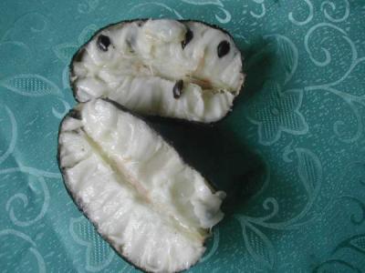 Corossol
