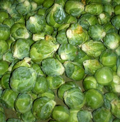 chou de Bruxelles