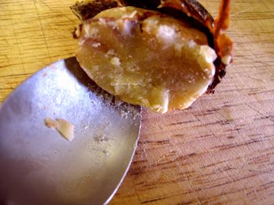 Noix de Saint-Jacques aux morilles et à la purée de marrons - 3.3