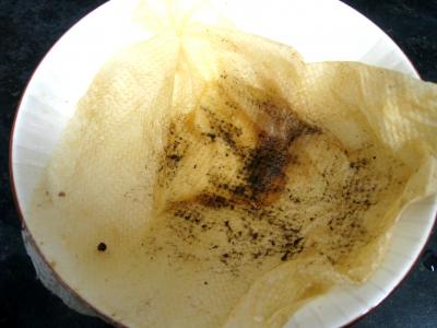 Noix de Saint-Jacques aux morilles et à la purée de marrons - 10.1