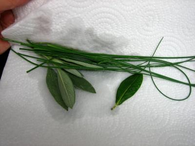 Souris d'agneau aux fèves et au parmesan - 1.4