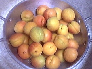 Abricots à l'eau de vie - 1.3
