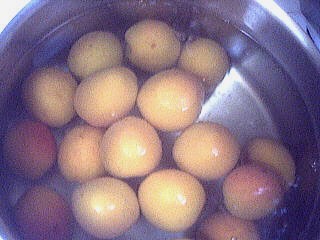 Abricots à l'eau de vie - 3.1