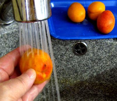 Abricots et pruneaux au sirop - 1.1