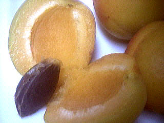 Abricots et pruneaux au sirop - 1.3