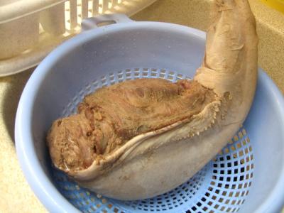 Langue de boeuf en pot au feu - 7.1