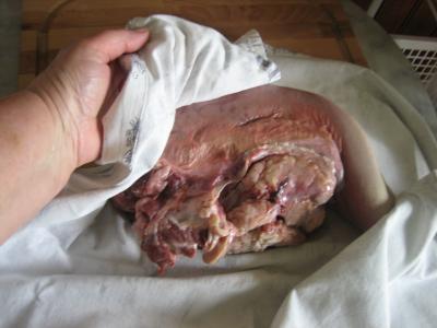 Langue de boeuf en pot au feu - 5.2
