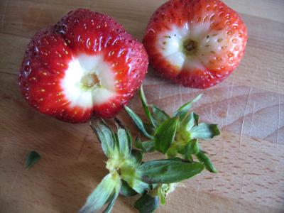 Fraises au vin rosé - 2.2