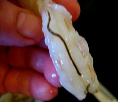 Flans chinois de crevettes à la vapeur - 2.2