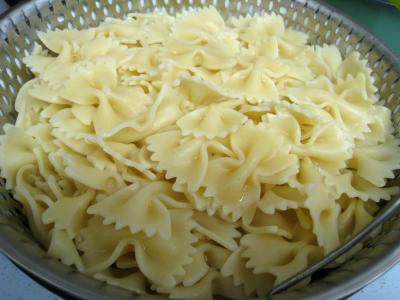 Candidature Gorgobalt Coquilles-saint-jacques-aux-farfalles-72469
