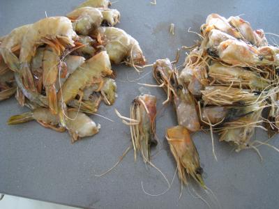 Crevettes à l'anis et sauce à l'orange - 3.1
