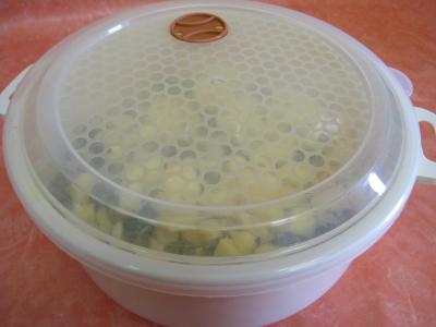 Chutney aux pommes - 12.1