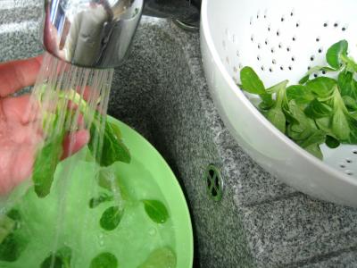 Colin en sauce verte - 2.3