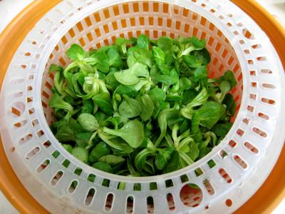 Colin en sauce verte - 2.4