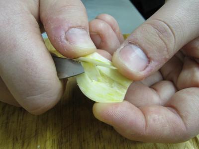 Paupiettes au citron, aux cèpes et aux pommes - 6.2