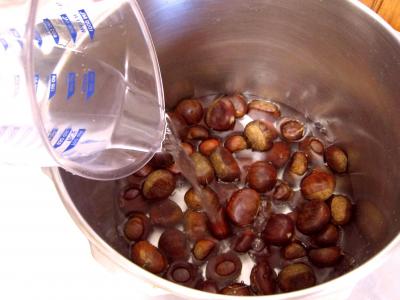 Confiture de marrons - 1.2