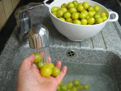 Confiture de mirabelles au Martini - 1.1