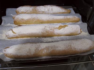 Pain pagnotta Italien - 7.2