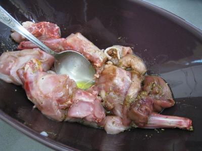 Lapin au yaourt à la grecque - 5.2