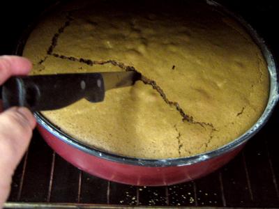Gâteau au chocolat et son coulis de melon et pêches - 9.1