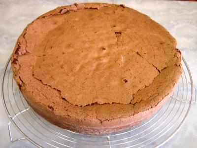 Gâteau au chocolat et son coulis de melon et pêches - 10.2