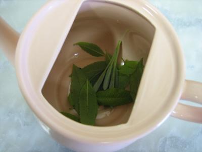 Grog à la sauge et à l'armagnac - 2.2