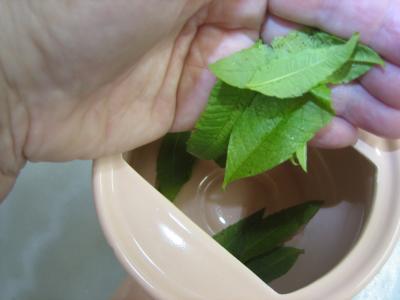 Grog à la sauge et à l'armagnac - 2.1