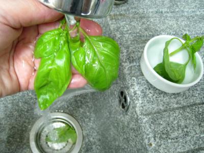 Jarret de boeuf en pot au feu - 1.2