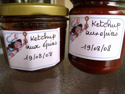 Ketchup aux épices - 11.2