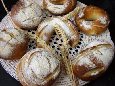 Petits pains à l'épeautre - 12.2