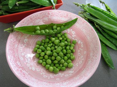 Epaule d'agneau et son nid de petits pois - 1.1