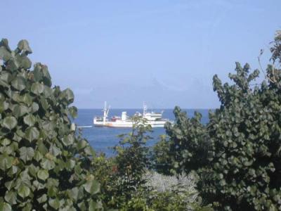 Ile de la Réunion