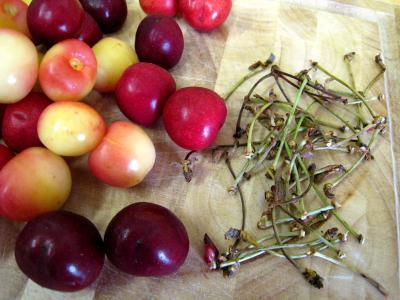 Quatre-quarts aux abricots et aux cerises - 2.1