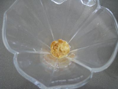 Mascarpone à la noix de coco et mangue - 8.2