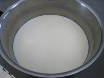 Glace à la vanille pour diabétiques - 3.1