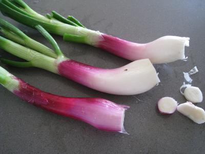 Ognasses au riz, asperges et agneau pour diabétiques - 1.1
