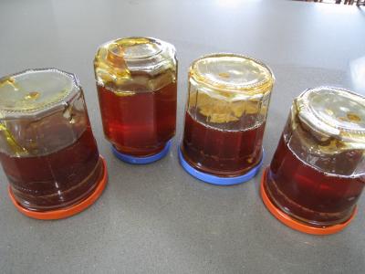 Gelée ou cramaillote de fleurs de pissenlits - 7.3