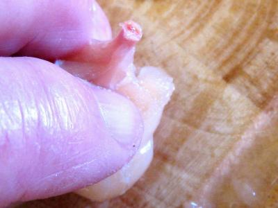 Tarte aux grenouilles et aux oignons - 3.1
