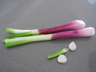 Omelette d'asperges au chou et aux ognasses - 3.1