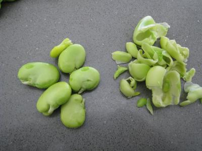 Sauté de carottes et fèves à la semoule - 5.1