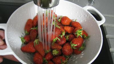 Terrine de fraises et framboises - 1.1