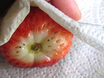 Mousse aux graines de tournesol et son coulis de fraises - 1.3