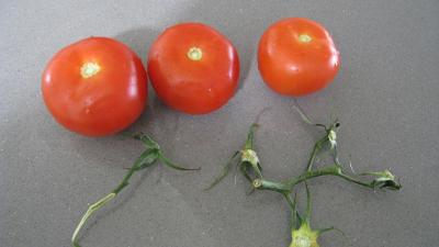 Aubergines et ses légumes farcis - 7.2