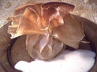 Aumônières aux pommes