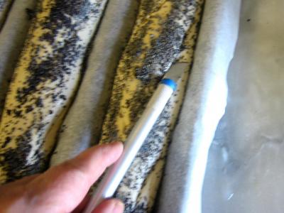Baguettes de pain en direct aux graines de pavot - 10.1
