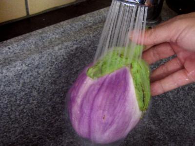 Beignets de fleurs de courgettes et aubergines - 5.2