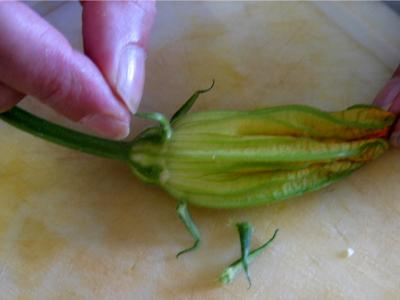 Beignets de fleurs de courgettes et aubergines - 4.2