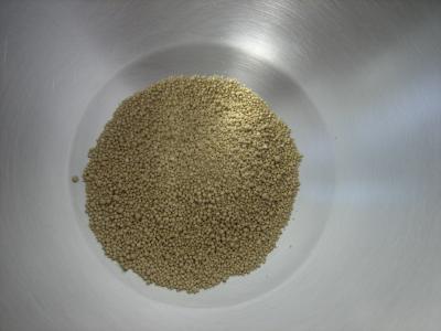 Pain à la bière - 1.1