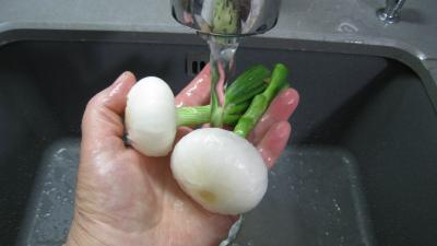 Blanquette aux endives et aux poireaux - 2.2
