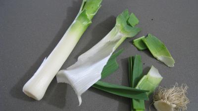 Blanquette de coquilles Saint-Jacques - 3.1